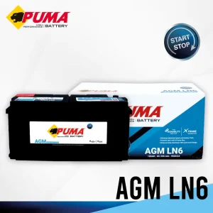 PUMA AGM LN6