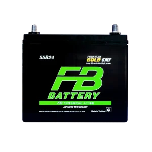 FB GOLD 55B24